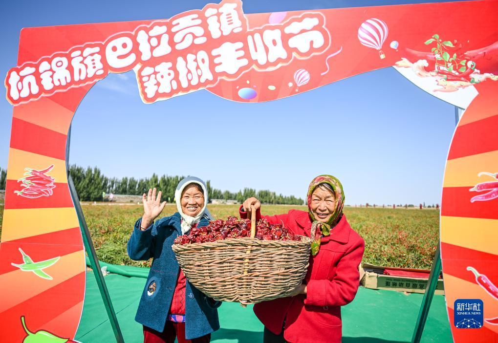 在线网址打开